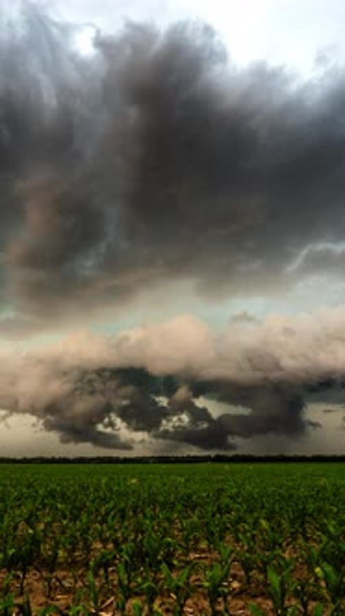 Storm Clouds over Lush Green Farm Field