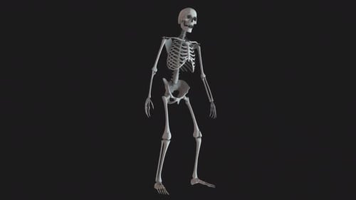 Skeleton Stood Idle Loop 01