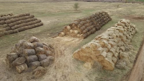 Drone Fly Over Agricultural Stubble Field Full of Hay Rolls During Warm Summer