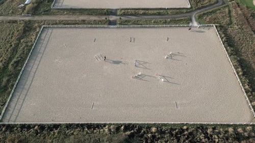 Gruppe reinrassiger Pferde, die auf einer Koppel in der Nähe des Stalls spazieren gehen und weiden. Langer Nachmittagsschatten