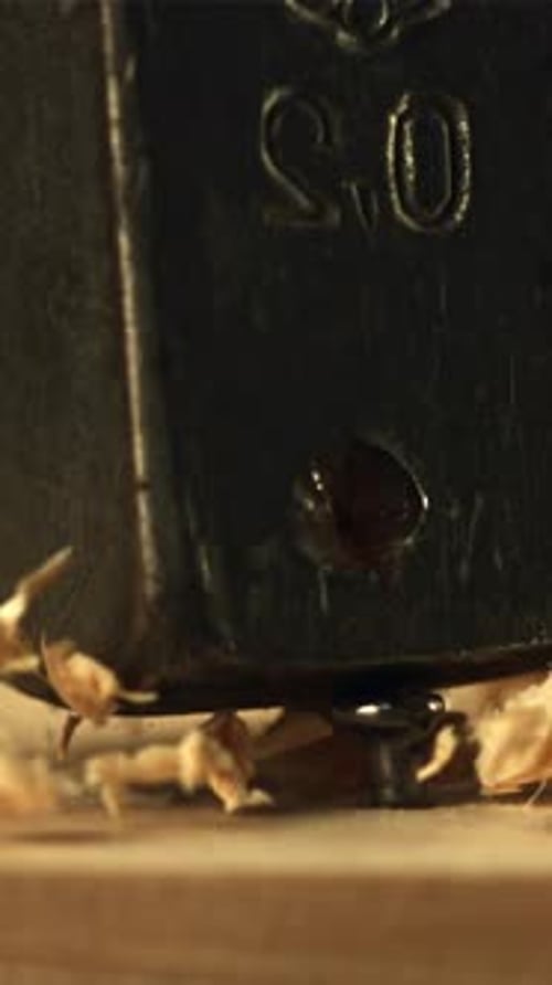 Con un martillo, el clavo está clavado en el árbol, filmado en cámara lenta a 1000 fps