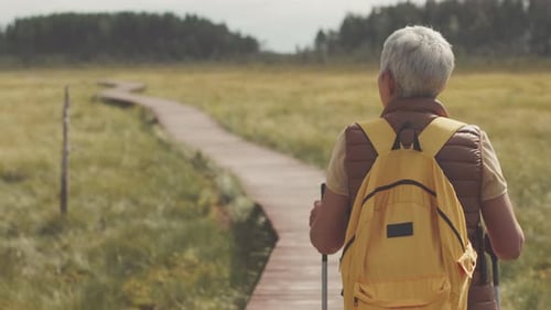 Gray Haired Female Tourist Hiking in Countryside Back View