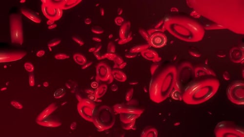 Fluid Red Blood Cells Flowing Medical Background Animation