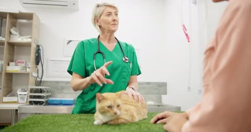 Veterinarian Consulting Cat Owner in Bright Clinic