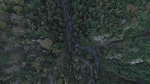Birds eye view of man walking along mountain trail between pine forest. Aerial top down forward