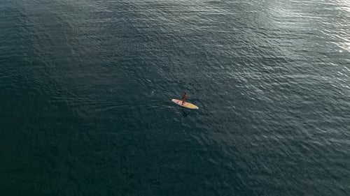 Sea Man Sup Top Down View on Athlete Man Swimming in Sea and Paddleboarding at Summer Sunset