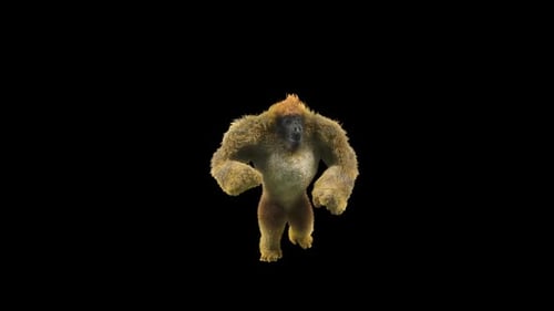 08 Gorilla Dancing HD