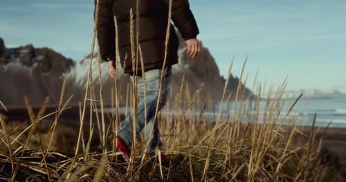 Man Explores Beach With Reed Grass And Snowy Mountains