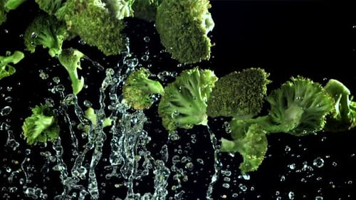 Broccoli Rises and Falls Filmed on a Highspeed Camera at 1000 Fps