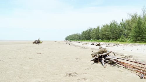 Beautiful Summer View At Kabong Beach,White Sandy Beach,Blue Sky,Sea And Green Trees.