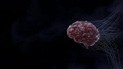 Human Brain Neural Network with Glowing Connections