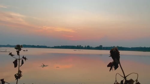 Lake at Sunrise or Sunset, Peaceful Nature