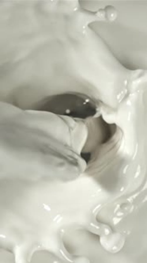 Splashes From a Drop of Milk Filmed on a Highspeed Camera at 1000 Fps