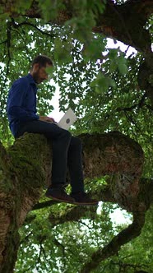 Man on Branch Using Laptop in Nature