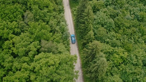 Blue car moving on a road in summer. Driving of a modern automobile along the road in the forest.