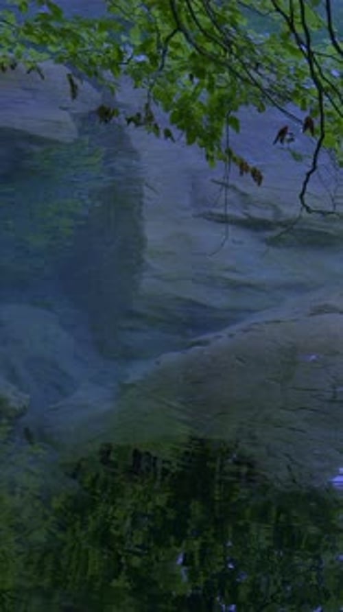 Clear Stream Flowing Through Natural Environment