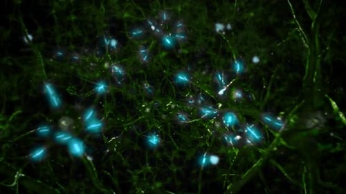 Gehirnneuronen. Animation von Neuronenzellen mit leuchtenden Verbindungen