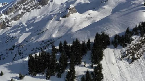 Steep Snow Covered Alpine Mountains and Pine Forest in Winter Sun