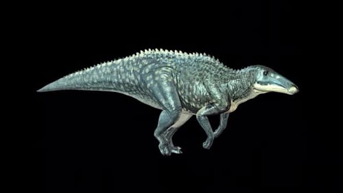Shantungosaurus Dinosaur Walk Idle 2