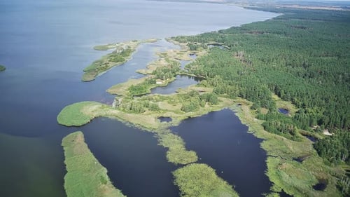 A Calm River Meanders Between The Green Banks Of The Forest.