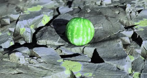Watermelon on Rocky Surface with Dynamic Light and Shadow