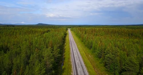 Aerial view of a road without cars immersed in nature with the woods on the eyebrow. Concept of: s