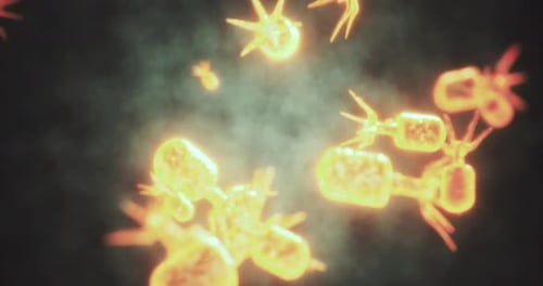 Descubriendo microcriaturas brillantes en un reino submarino