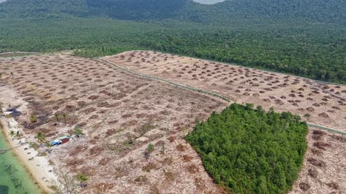 Drone Shot of Deforested Land and Beach on Phu Quoc Island, Vietnam