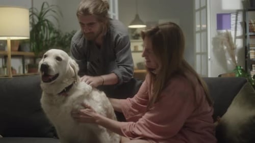 Couple Loving their Pet Dog in Cozy Home