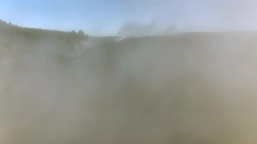 Forest Landscape with Steam Rising From the Ground