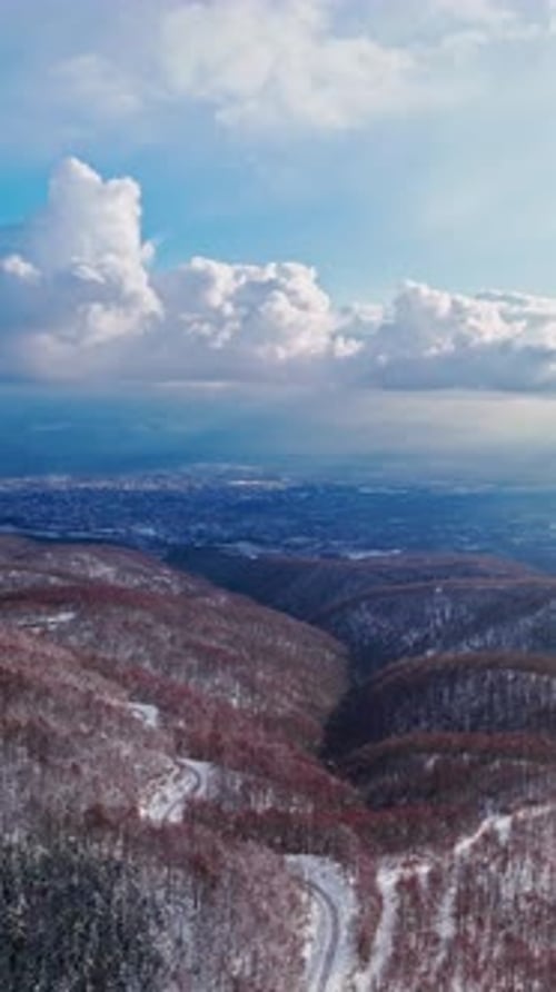 Vertical Aerial View of Curved Road Through Winter Forest 4k