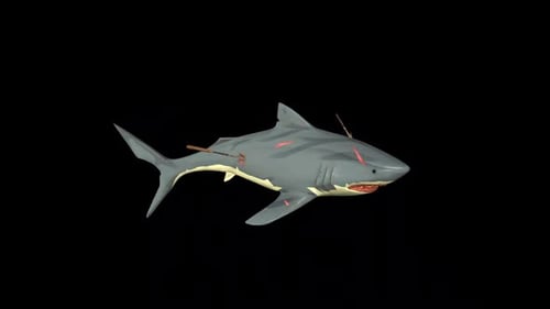 Animated Stylized 3D Shark Swimming Across Screen