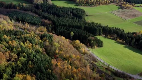 Aerial view of autumn trees on a sunny day in the Black Forest, Baar, Heuberg, Baden-Württemberg, Ge