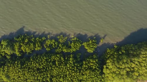 Aerial view of trees and water, Mozambique.