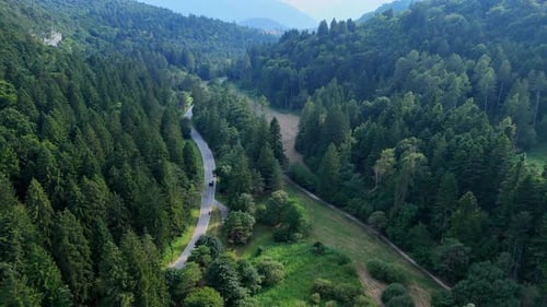 Black car moving along winding road in wooded valley