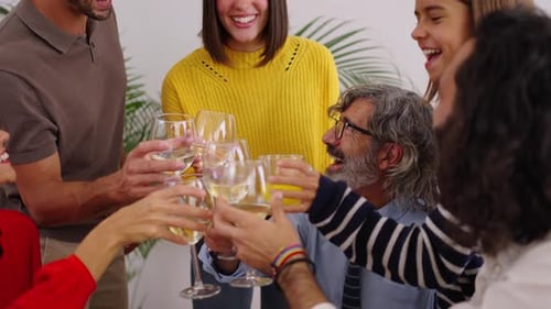 Happy Friends and Family Toasting Drinks at Home