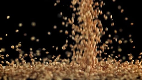 Falling Grain Isolated on Black Background in Studio