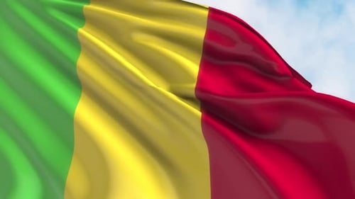 Realistic Mali Flag Waving in Wind Loop