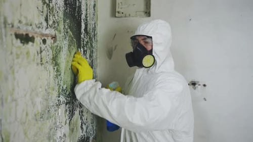 Applying a Chemical Spray Means for Killing Mold in the Hands of an Exterminator Service