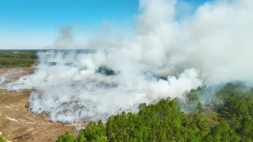 View From Above of Dense Smoke From Woodland and Field on Fire Rising Up Polluting Air