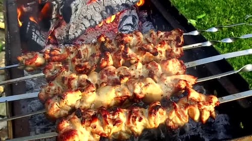 Delicious Juicy Kebabs are Cooked over the Fire