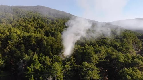 Aerial view of forest fire and smoke. Drone moving backwards.
