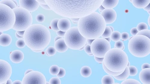 Organic Cell And Particle Movement In Microscopic View