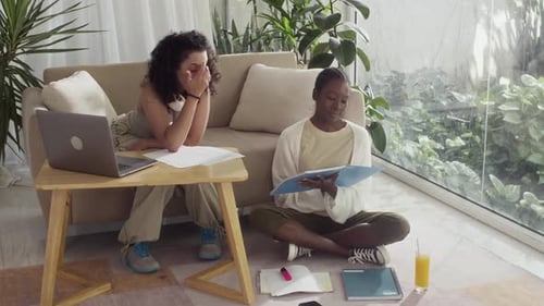 Des amis du collège font leurs devoirs à la maison