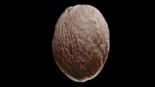 Close-up of a nutmeg, rotation on a black background.
