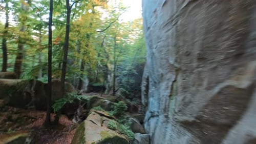 FPV Speed Flight Into Beautiful Forest Cinematic Mystical Wild Woods and Stone Rocks Travel