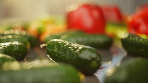 Fresh Cucumbers with Tomatoes and Peppers