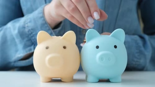 Person Throws Coins Into Two Piggy Banks in Turn to Diversify Portfolio