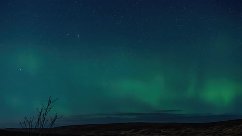Time lapse on a telephoto lens of the aurora borealis (aka northern lights) in the village of Back o