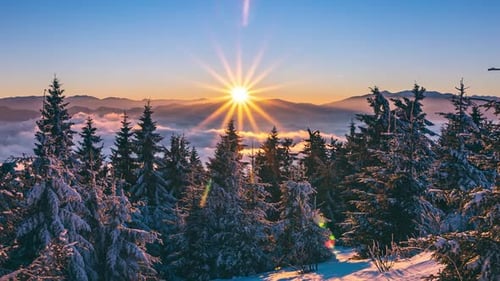 Golden Sunset in Winter Forest Nature Time Lapse Panorama